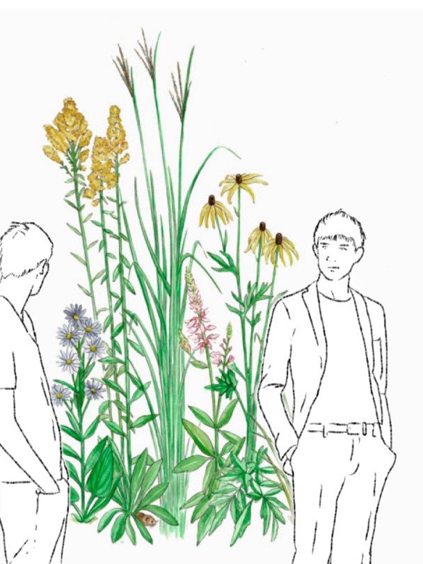 Collage chicos flores