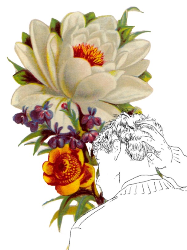 Collage chico flores