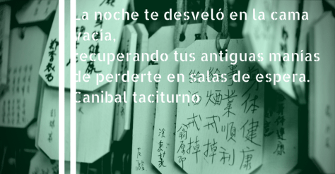 La noche te desveló en la cama vacía, recuperando tus antiguas manías de perderte en salas de espera.
